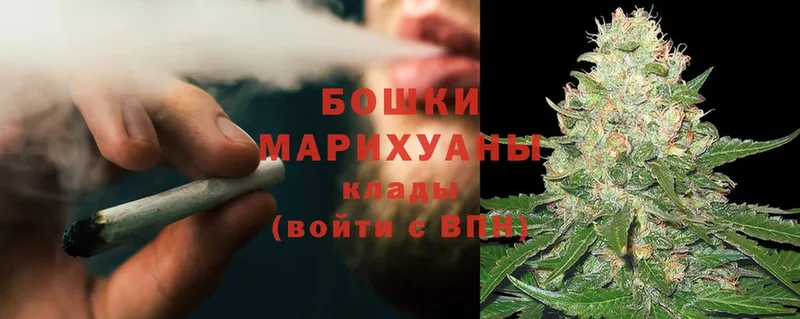 Бошки марихуана OG Kush  Краснознаменск 